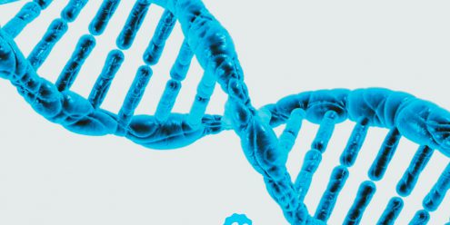 2300 γονίδια και πλέον συνεργάζονται για τη σπερματογένεση!